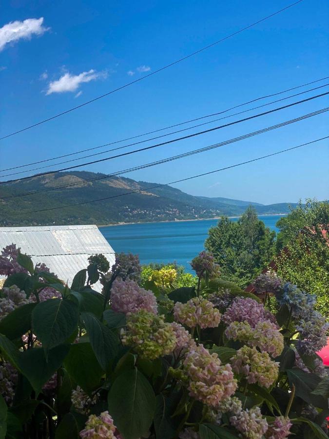 Petar Apartment Mavrovo Bagian luar foto