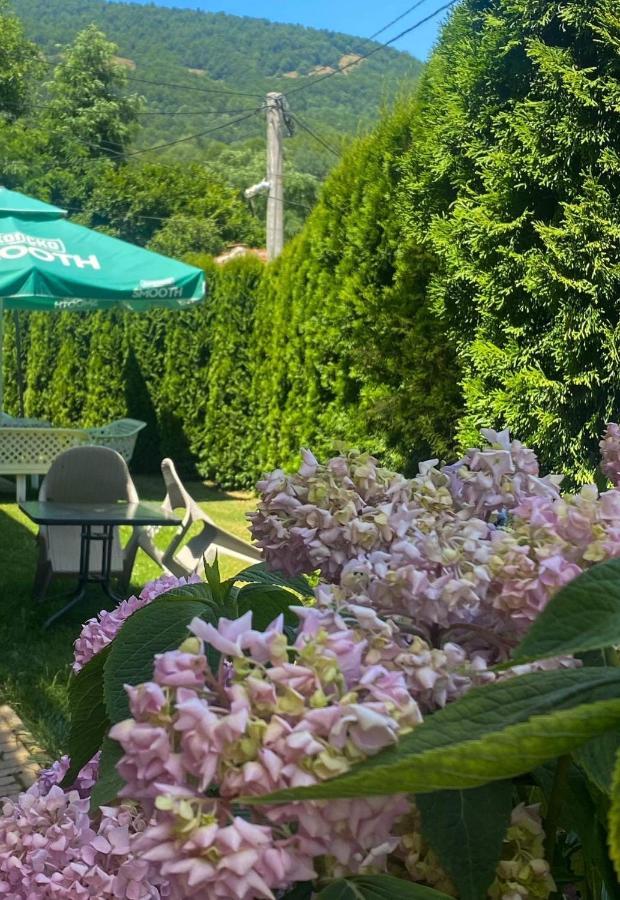 Petar Apartment Mavrovo Bagian luar foto