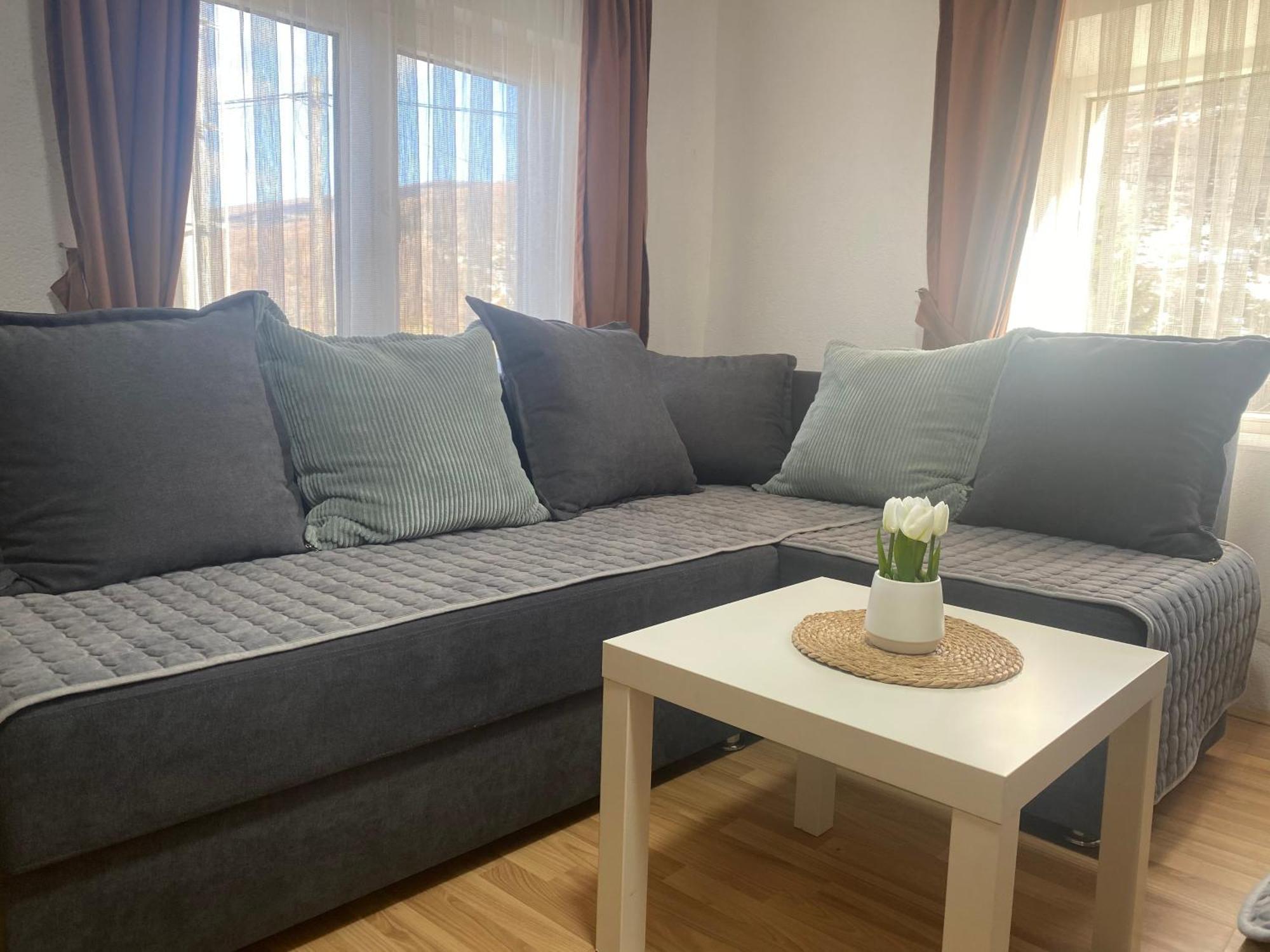 Petar Apartment Mavrovo Bagian luar foto